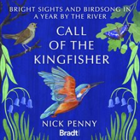 Call_of_the_Kingfisher